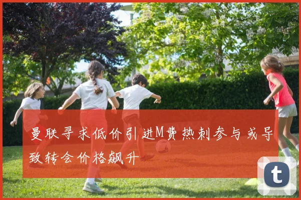 曼联寻求低价引进M费热刺参与或导致转会价格飙升