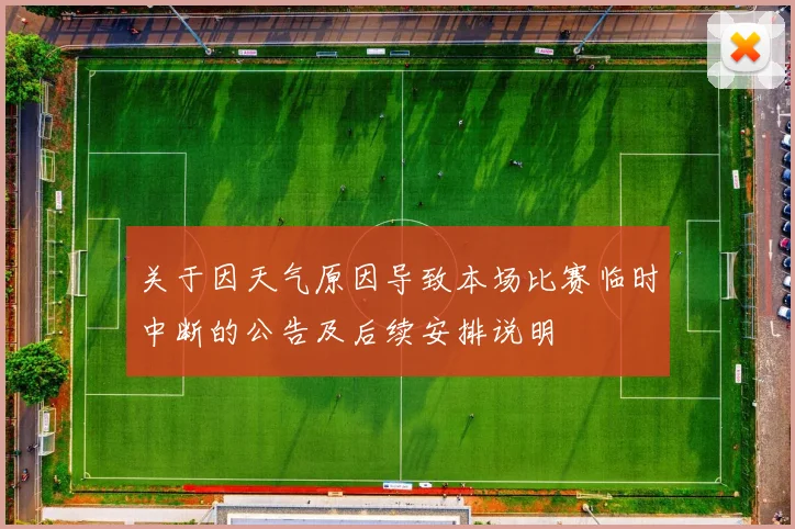 关于因天气原因导致本场比赛临时中断的公告及后续安排说明